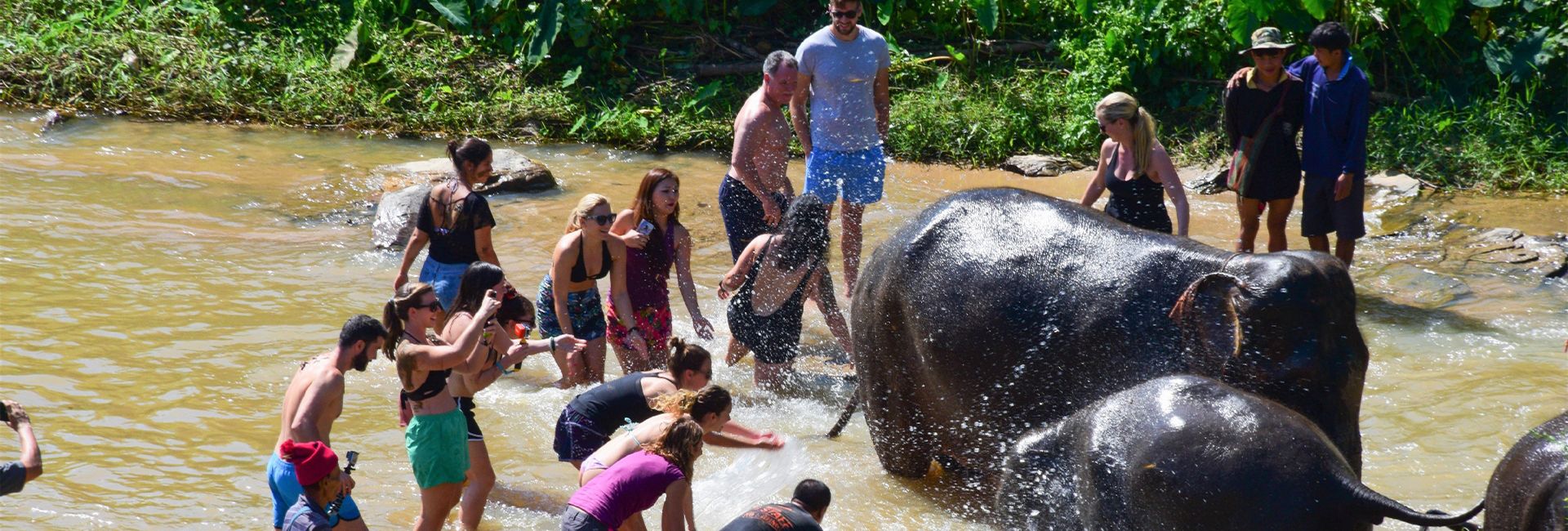 SV102 HALF DAY ELEPHANT JUNGLE SANCTUARY TOUR WITH LUNCH