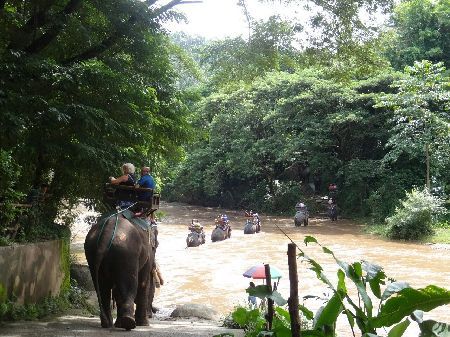 SV209 ELEPHANT SAFARI TOUR WITH LUNCH