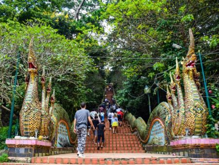 SV106 HALF DAY DOI SUTHEP TEMPLE & MEO HILLTRIBE DOI PUI TOUR